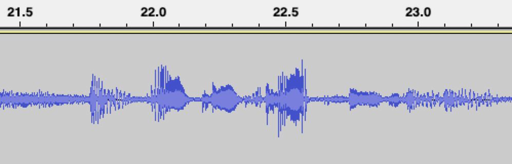 Screenshot of a waveform in Audacity. There are lots of spikes in the sound wave.